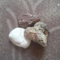 سنگهای کلکسیونی