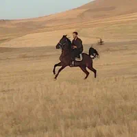 اسب نریان کرد