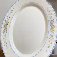 دو عدد دیس بیضی آرکوپال اصل فرانسه