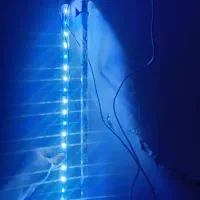 لوازم اکواریوم چراغ و بخاری|ماهی|کرج, نوروزآباد|دیوار