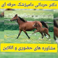 خدمات مشاوره ای ودرمانی دامپزشکی دکتر حردانی|خدمات آرایشگری و زیبایی|اهواز, کیانپارس |دیوار