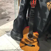 گیتار maxineبه همراه کیف