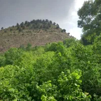 فروش سیم کارت ایرانسل دائمی