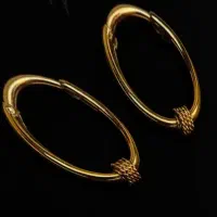 یک قطعه طلا پیداشده