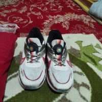 کتونی اسپرت