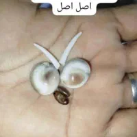 سنگ قدیمی