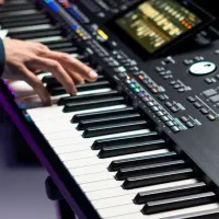 گروه موسیقی . ارکستر عروسی