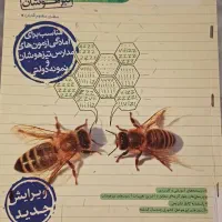 کتاب تیزهوشان|کتاب و مجله آموزشی|آق قلا, |دیوار