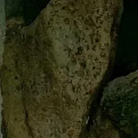 سنگ دکوراسیون پروانه ای از زمان باستان