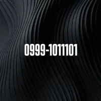 0999-1011101