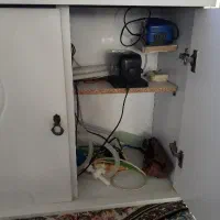 اکواریوم  و ماهی|ماهی|قم, نیروگاه|دیوار