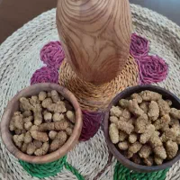 توت خشک ارگانیک قیسی آجیل خشکبار