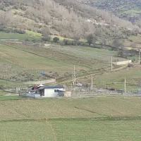 زمین با ویوی عالی در روستای عالیکلا کیاسر|فروش زمین و ملک کلنگی|کیاسر, |دیوار