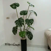 درختچه مصنوعی برگ انجیری