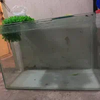 اکواریوم با شیشه و پایه و تمامی وسایل|ماهی|تهران, افسریه شمالی|دیوار