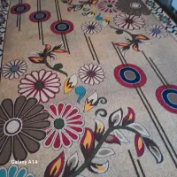 گلیم فرش|گلیم، جاجیم، گبه|داران, |دیوار