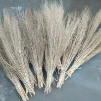 فروش ۱۰عدد جارو دستی دسته بلند یکجا هرکدوم ۵۰تومن