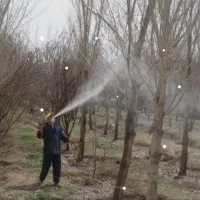 سم پاشی