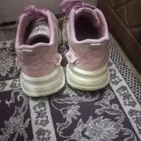 کفش|کیف، کفش، کمربند|گنبد کاووس, |دیوار