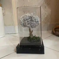 گل هورتانسیا جاودان|گل و گیاه طبیعی|تهران, افسریه جنوبی|دیوار