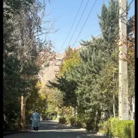 ۸۰۰ متر زمین