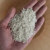 برنج هاشمی اعلا ۲۰ کیلویی
