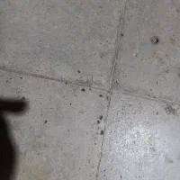 باشت قدم ابادجنب کارگاه حاج ظفری