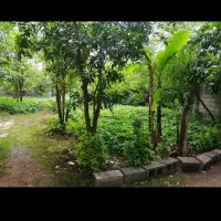 کار در گاوداری وخانه برای زندگی