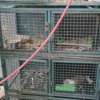 قفس 4طبقه 8واحد