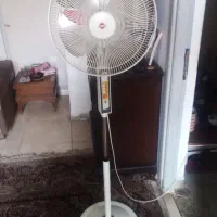پارس خزر ایستاده