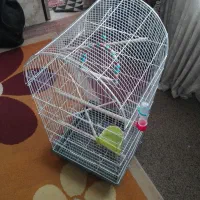 قفس زینتی بزرگ با وسایل کامل توضیحات بخونید|لوازم جانبی حیوانات|فولادشهر, A2|دیوار