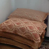 بالش کارکرده (رایگان)