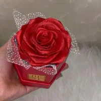 گل مصنوعی و طبیعی|گل مصنوعی|صحنه, |دیوار