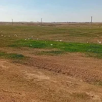 فروش۵۳ هکتار زمین کشاورزی چنانه شوش|فروش دفتر صنعتی، کشاورزی، تجاری|شوش, |دیوار