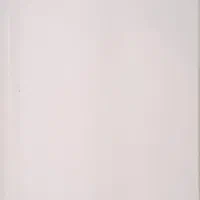 پکیج ایران رادیاتور (مدل L24FF)