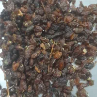 گله و کشمش آفتابی|خوردنی و آشامیدنی|کاشمر, |دیوار