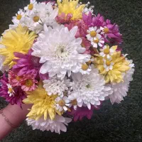 باکس گل طبیعی