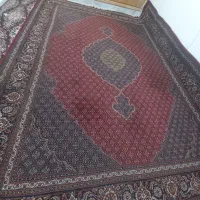 یک تخته فرش ۱۲متری ریز ماهی زرشکی