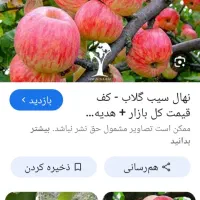 کارگر اکیپ واسه چیدن سیب