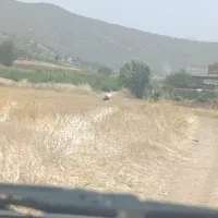 اجاره زمین کشاورزی بصورت مشارکتی