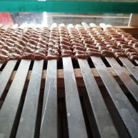 فیله سوخاری نیما|خدمات پذیرایی، مراسم|یزد, |دیوار