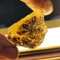 فروش بارخانه سنگ شجر قائن