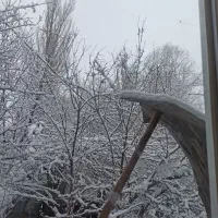 ۱۲۰۰ متر باغ در کند سفلی