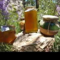 عسل طبیعی کوهسار