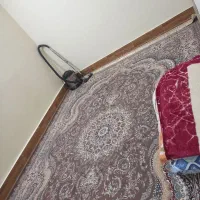 منزل اجاره ای کیان اباد|اجارهٔ آپارتمان|شیراز, کیان آباد|دیوار
