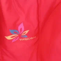 کالسکه عصایی