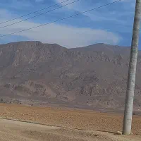 فروش ۱ هکتار و نیم زمین|فروش دفتر صنعتی، کشاورزی، تجاری|مرودشت, تخت جمشید|دیوار