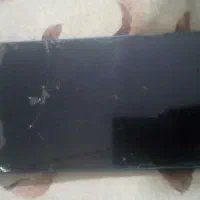 تبلت|تبلت|نیشابور, گنبد سبز|دیوار