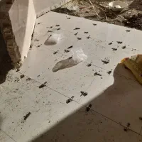 بنایی،کاشی کاری،سیمان زنی،سفت کاری