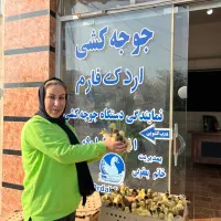 مرکز پخش جوجه مرغ،اردک پکنی اردک فارم